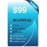 BI - ANNUAL SUBSCRIPTION
